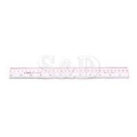 Plastic Ruler 透明胶间尺